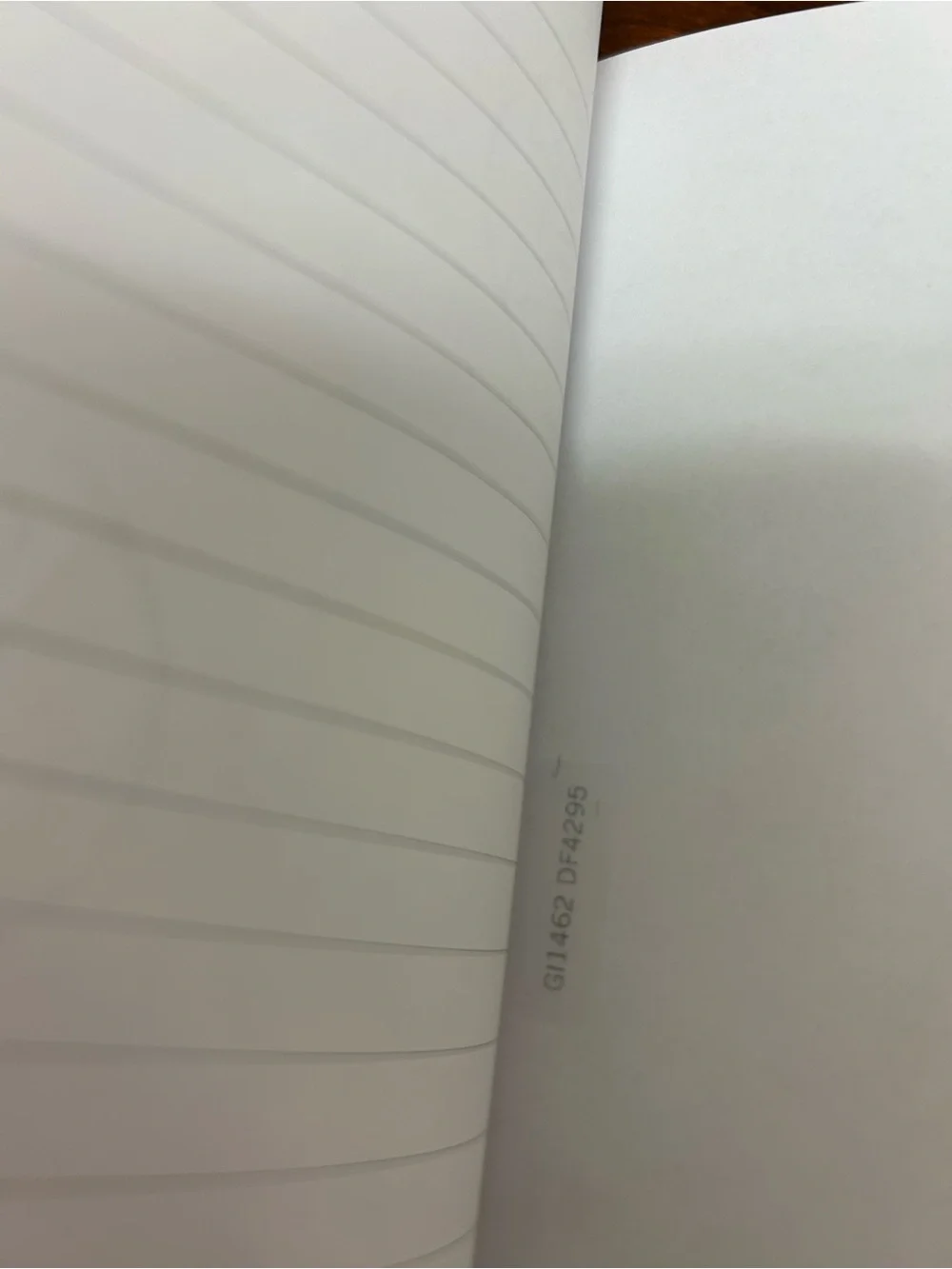 Louis Vuitton The Jane notebook with stickers. Winter addition.